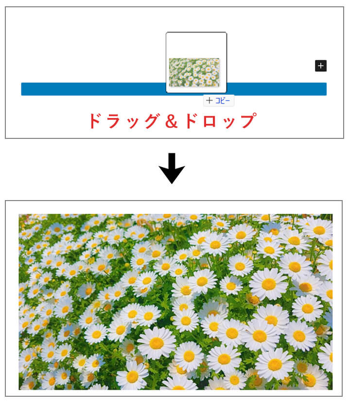 Wordpressの編集画面でドラッグアンドドロップで画像を追加している画面