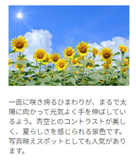 スマホ表示の場合、カラムが縦並びになることを示した画面